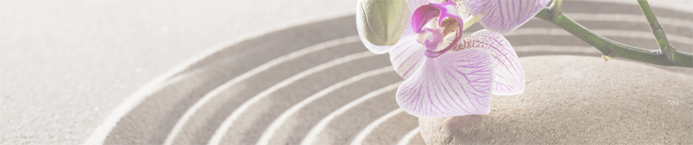 Spa Wellness Gift Cards Spa Discounts Spa Deals And Spa Packages From Spa Week Spa Week